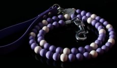 Korálkové vodítko Gallicossus