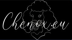 Paracordová lanová vodítka pro psa | Pevná a odolná lokální výroba